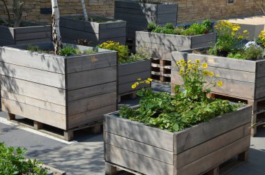 Terasta oturan iki gri saksı ve çimenliği andıran yapay plastik bir halı. Bir tencerede çobanpüskülü ve mor çiçekler var. Restoranın yanındaki spa parkı.