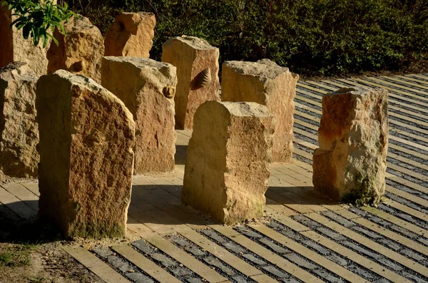 Outdoor Exposition Rocks Minerals Local Nature Volcanic Sedimentary Pieces Rocks — Photo