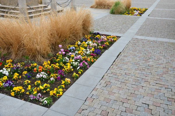 ornamental flower beds on a regular floor plan in the middle of a square made of granite paving. L shaped flower beds with dry ornamental grasses and lots of colorful flowers Easter decorations