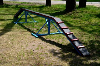 Köpekler için park yeri. Köpekler için eğitim alanı. Tüneller ve kirişler, metal ve plastik engeller. Köpek sahipleri için yeni oyun alanı tasarla, mavi, kırmızı, siyah