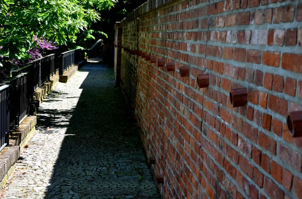 Muros Contenção Terraços Com Treliças Rosas Sebe Aparada Retangular Buxo — Fotografia de Stock