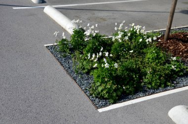 Park yerindeki çiçek tarlasının orada. Süslü otlarla süslenmiş bir patika şeklinde. Araçlar park ederken beton durur. Tekerlek betonun üzerinde duruyor ve onu durduruyor.