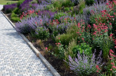 Şehir ortamında renkli çayır çiçeklerinin yatağı çakıllarla kaplanmış böcek ve kelebekler için çekicidir. Yağın köşelerinde büyük kayalar var. Kenarlardan geçmeye karşı. 