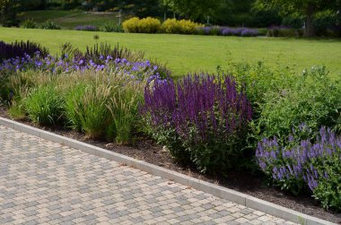 Şehir ortamında renkli çayır çiçeklerinin yatağı çakıllarla kaplanmış böcek ve kelebekler için çekicidir. Yağın köşelerinde büyük kayalar var. Kenarlardan geçmeye karşı. 