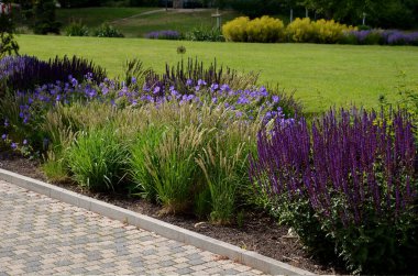 Şehir ortamında renkli çayır çiçeklerinin yatağı çakıllarla kaplanmış böcek ve kelebekler için çekicidir. Yağın köşelerinde büyük kayalar var. Kenarlardan geçmeye karşı. 