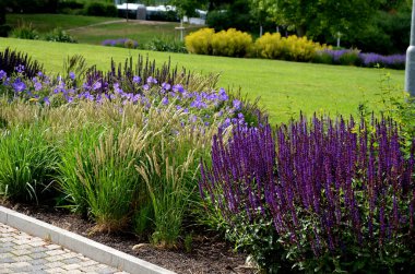 Şehir ortamında renkli çayır çiçeklerinin yatağı çakıllarla kaplanmış böcek ve kelebekler için çekicidir. Yağın köşelerinde büyük kayalar var. Kenarlardan geçmeye karşı. 