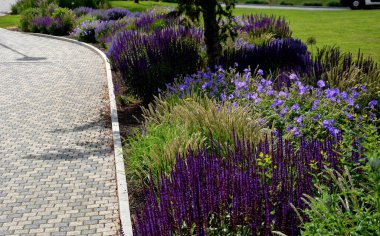 Şehir ortamında renkli çayır çiçeklerinin yatağı çakıllarla kaplanmış böcek ve kelebekler için çekicidir. Yağın köşelerinde büyük kayalar var. Kenarlardan geçmeye karşı. 