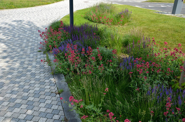 кровать из красочных цветов прерий в городской среде привлекательной для насекомых и бабочек, мульчированных гравием. на углах эфирного масла большие валуны против пересечения краев 