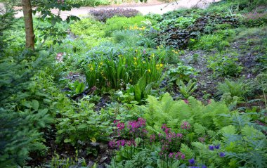 Asfaltlı bir dereye akan gölgeli bir bahçe. Ebedi bir yatağın içinden akıyor. Çimensiz bitkiler ıslak bir pınara dönüşür. Eğreltiotlarıyla kayalık çıkıntılar