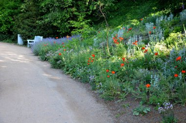 Yokuş aşağı kestirme yol. Yolun üstünde ve altında taş bir duvar var. Sonbahar parkında kanalizasyon ve metal şebeke ile doğa izleri. Her yıl kuraklık sarısı ile kaplanmış yamaçlar