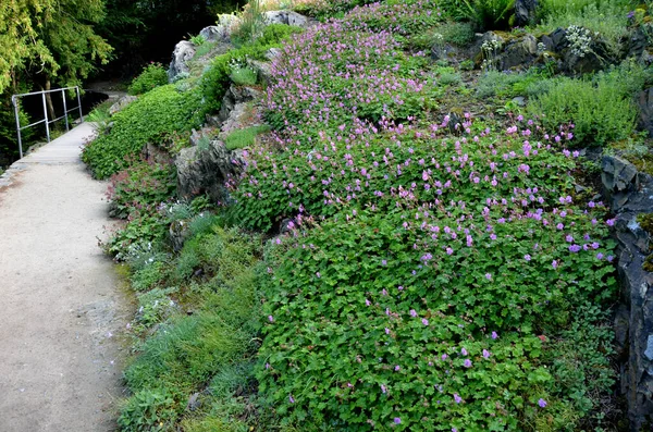 Metal parmaklıklı ahşap köprü. Köprü vadideki bir uçurumun üzerindeki taş bir kayanın üzerinden geçiyor. Marangozun dişlerini geçirttiği taştan dikkatle kaçıyorlar. tahta