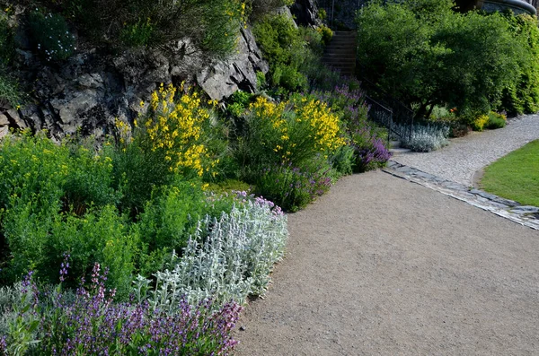 Jardin Une Nature Ombragée Par Ruisseau Qui Coule Dans Ruisseau — Photo