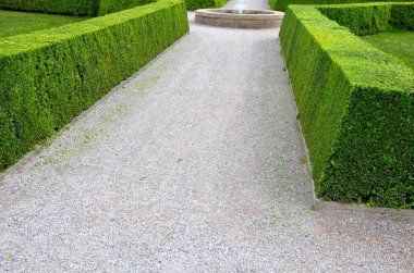 Kuru erik ağacı çitleri ilkbaharda koyu yeşil ve yoğun dallıdır. Çim biçme makinesi deneyimli bir bahçıvan tarafından yapılır. Kesik yapraklar yerde yatıyor ve bahçenin temizlenmesi gerekiyor.