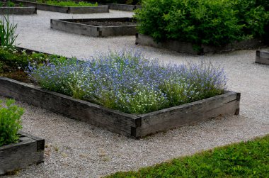 Romatizma, sindirim, kek için robarb, çay kurutmak için romatizma ve alkollü içecekler için aromatik otlar içeren ev yapımı şifalı bahçeler. Meşe ağaçlarıyla çevrili normal, yükseltilmiş çiçek yatakları.