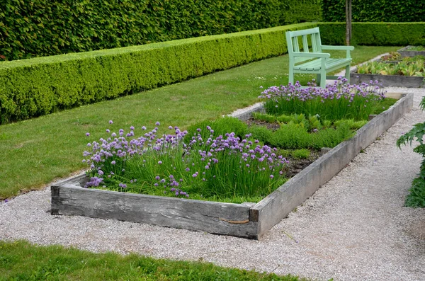 home medicinal garden with herbs for rheumatic, digestion, rhubarb for cake, for drying tea and aromatic herbs for alcoholic liqueurs to use. regular raised flower beds bordered by oak planks