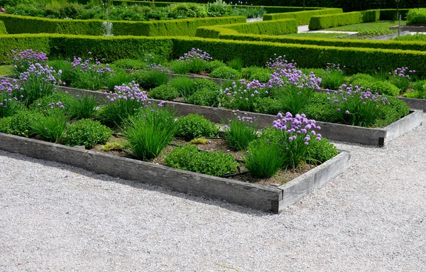 home medicinal garden with herbs for rheumatic, digestion, rhubarb for cake, for drying tea and aromatic herbs for alcoholic liqueurs to use. regular raised flower beds bordered by oak planks