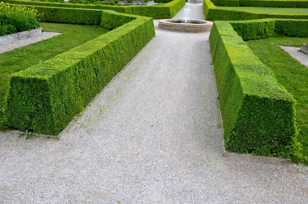 Kuru erik ağacı çitleri ilkbaharda koyu yeşil ve yoğun dallıdır. Çim biçme makinesi deneyimli bir bahçıvan tarafından yapılır. Kesik yapraklar yerde yatıyor ve bahçenin temizlenmesi gerekiyor.