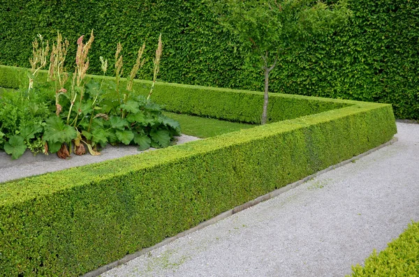 home medicinal garden with herbs for rheumatic, digestion, rhubarb for cake, for drying tea and aromatic herbs for alcoholic liqueurs to use. regular raised flower beds bordered by oak planks