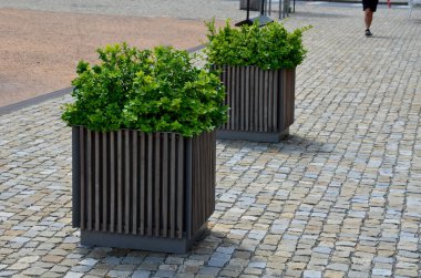 ornamental flower pots on village center trough, wooden flower pots with beautiful decorations of violets and daffodils. Easter is approaching so it is necessary to decorate entrance of home, parking