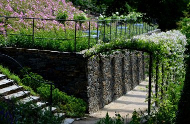 Yokuş aşağı kestirme yol. Yolun üstünde ve altında taş bir duvar var. Sonbahar parkında kanalizasyon ve metal şebeke ile doğa izleri. Her yer kuraklıkla kaplıydı. Her yıl sarı, porsuk, kaya...