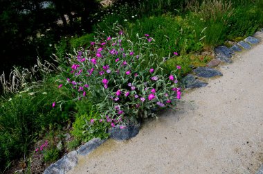 Yokuş aşağı kestirme yol. Yolun üstünde ve altında taş bir duvar var. Sonbahar parkında kanalizasyon ve metal şebeke ile doğa izleri. Her yıl kuraklık sarısı ile kaplanmış yamaçlar