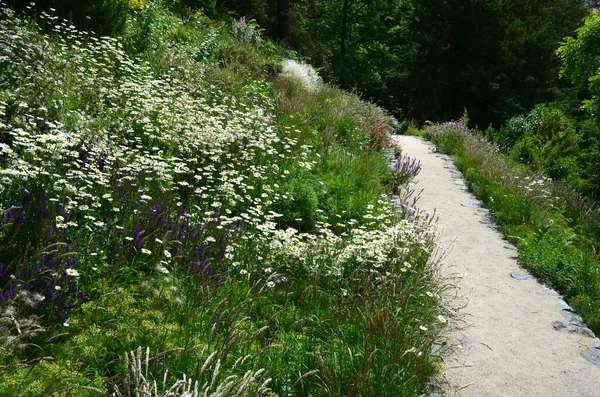 Yokuş aşağı kestirme yol. Yolun üstünde ve altında taş bir duvar var. Sonbahar parkında kanalizasyon ve metal şebeke ile doğa izleri. Her yıl kuraklık sarısı ile kaplanmış yamaçlar