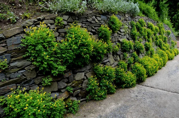 Camino Que Conduce Desfiladero Entre Muros Contención Con Piedras Grises — Foto de Stock