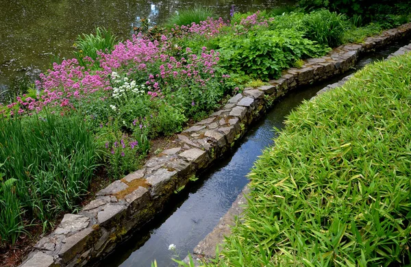 Jardin Une Nature Ombragée Par Ruisseau Qui Coule Dans Ruisseau — Photo