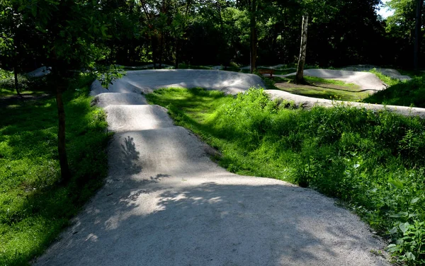 地面に掘られた自転車道用の線路がある森は子供でも孫でも太陽でも影でも新しい芝生でも完璧な形のマウンテンバイクになっています — ストック写真