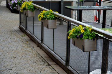 Teraslı bir evin penceresinde süslü saksılar. Menekşeler ve nergislerle süslenmiş plastik saksılar. Paskalya yaklaşıyor, bu yüzden giriş terasını süslemek gerekiyor.