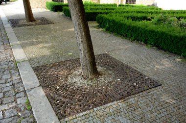 Yaya kaldırımının geniş bir kaldırımına dikilmiş ağaçlar kök salmak zorundadır ve bu yüzden bloklar arasında çakıl yağmuru suyu ile emilen daha büyük çatlaklar vardır.