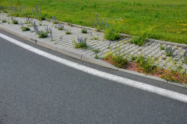 Çim çiçekleriyle kaplı bir kavşakta beton küplerden oluşan bir kaldırım. Düzenli bakım gerektirmeyen mahalle. Kaldırımları geçmek zor Çim biçme makinesiyle çim biçme ihtiyacı.