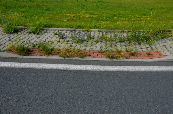 sidewalk of concrete cubes at a crossing overgrown with weed flowers. neighborhood without regular maintenance. sidewalks difficult to pass need to mow with a lawn mower.