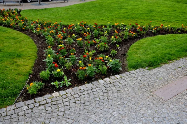 Stauden Blumenbeete Pflanzen Jährliche Rabatte Sind Verschiedene Halbmondbäume Die Zwischen — Stockfoto