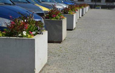 Kırmızı yapraklı begonya yapraklı saksılar ve yol kenarındaki kaldırımda bej bir saksıda yeşil yapraklı yeşil yapraklı saksılar yayaları kavşakta bir zincir ile birlikte korur.