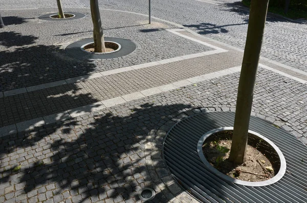 perennial flower beds with annual plantations on the edge of the flower bed in paving on the granite cobblestone town square, stone pillars against the entrance and stone troughs and flower pots plant