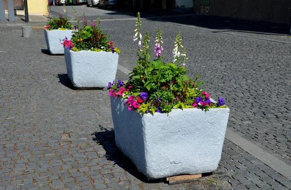perennial flower beds with annual plantations on the edge of the flower bed in paving on the granite cobblestone town square, stone pillars against the entrance and stone troughs and flower pots plant