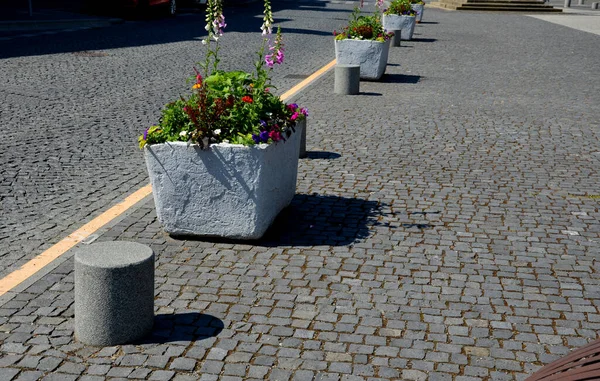 perennial flower beds with annual plantations on the edge of the flower bed in paving on the granite cobblestone town square, stone pillars against the entrance and stone troughs and flower pots plant