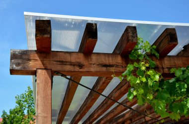 Ahşap pergola ve pleksiglass çatılı teras. Sarmaşıklar geriliyor, kirişlerin altında sürünüyorlar. Bahçe ya da park. Alkolsüz duvar şarabı bölgesinde oturuyor. Kırsal bölge Fransa 'sı