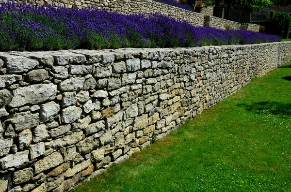 terraces with stairs in a sloping park. stone retaining walls with light stone. blue lavender and pink roses with perennials grow on the edge of the wall. lawns and gravel path, led, footpath, castle