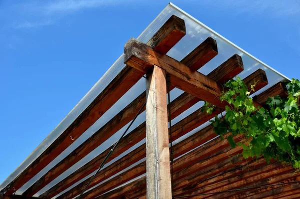 terrace with wooden pergola and plexiglass roof. vines are straining, crawling under the beams. garden or park. sitting with dry wall wine region. restaurant countryside france