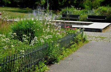 Ekim ayı sonunda, zengin buketler dolusu mavi ve mor renkli fındık çiçekleri dolandırıcılık ve çiçek tarlaları boyunca parklarda çiçek açarlar. Yolun kenarları ve koruyucu halat çitleri büyümüş.