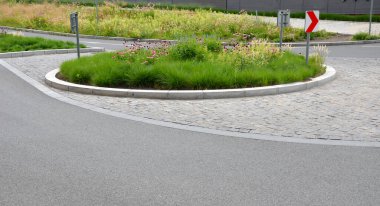 Dar ve uzun taç yaprakları aşağıya doğru uzanır ve kahverengi-turuncu merkezi bir hedef görmenizi sağlar. Temmuz 'dan Eylül' e kadar her yıl çiçek açar. Çiçek solgun, dolambaçlı, trafik çemberi