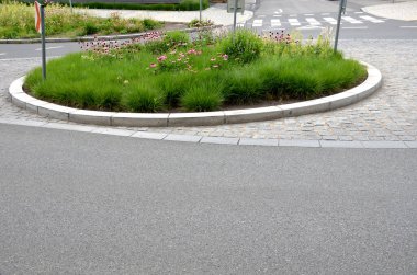 Dar ve uzun taç yaprakları aşağıya doğru uzanır ve kahverengi-turuncu merkezi bir hedef görmenizi sağlar. Temmuz 'dan Eylül' e kadar her yıl çiçek açar. Çiçek solgun, dolambaçlı, trafik çemberi