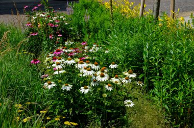 Parktaki gezinti güvertesinde süs eşyalarıyla çiçeklenmiş. Kenarları granit kaldırım taşlarından oluşan eğimli bir kaldırım. Dikdörtgendeki çiçek tarlasını çimlerden ayırır.