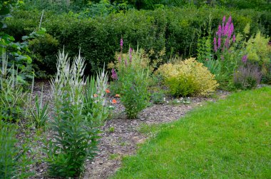 Çiçek tarlasına daimi çiçekleri saksı yetiştiren bir nakliye aracına yerleştirmek. Bahçıvan, çimlerin büyümesini önleyen ve yazın toprak yüzeyini ısıtan lav kahverengi çakıl taşlarıyla gübreler. Bozkır bozkırı