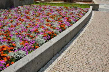 Pembe-turuncu bir çiçek kombinasyonu olan çılgın yıllık yatak. Çeşmenin yanındaki meydanda yuvarlak kum taşından duvarlar var. Sıra dışı bir renk şebekesinde çiçek halıları