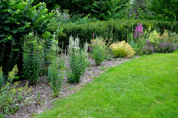 Planting Perennials Flowerbed Transport Growing Pot Gardener Mulches Lava Brown — Stock Photo, Image