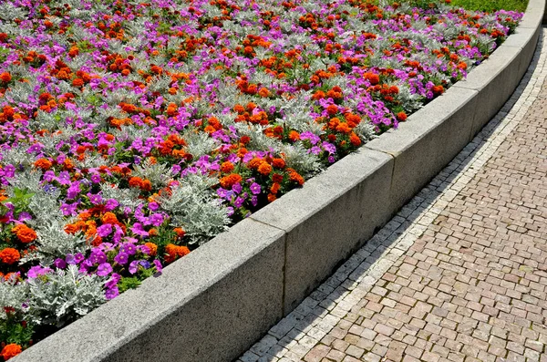 crazy annual bed with a pink-orange combination of flowers. Large retaining walls of rounded sandstone in the square near the fountain. carpets of flowers in an unusual color grid