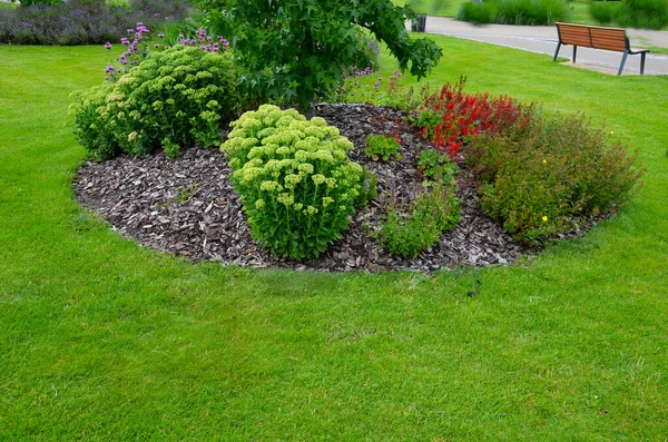 Mounds Perennial Beds Fila Red Colors Lawn Flowers Circles Hills — Fotografia de Stock